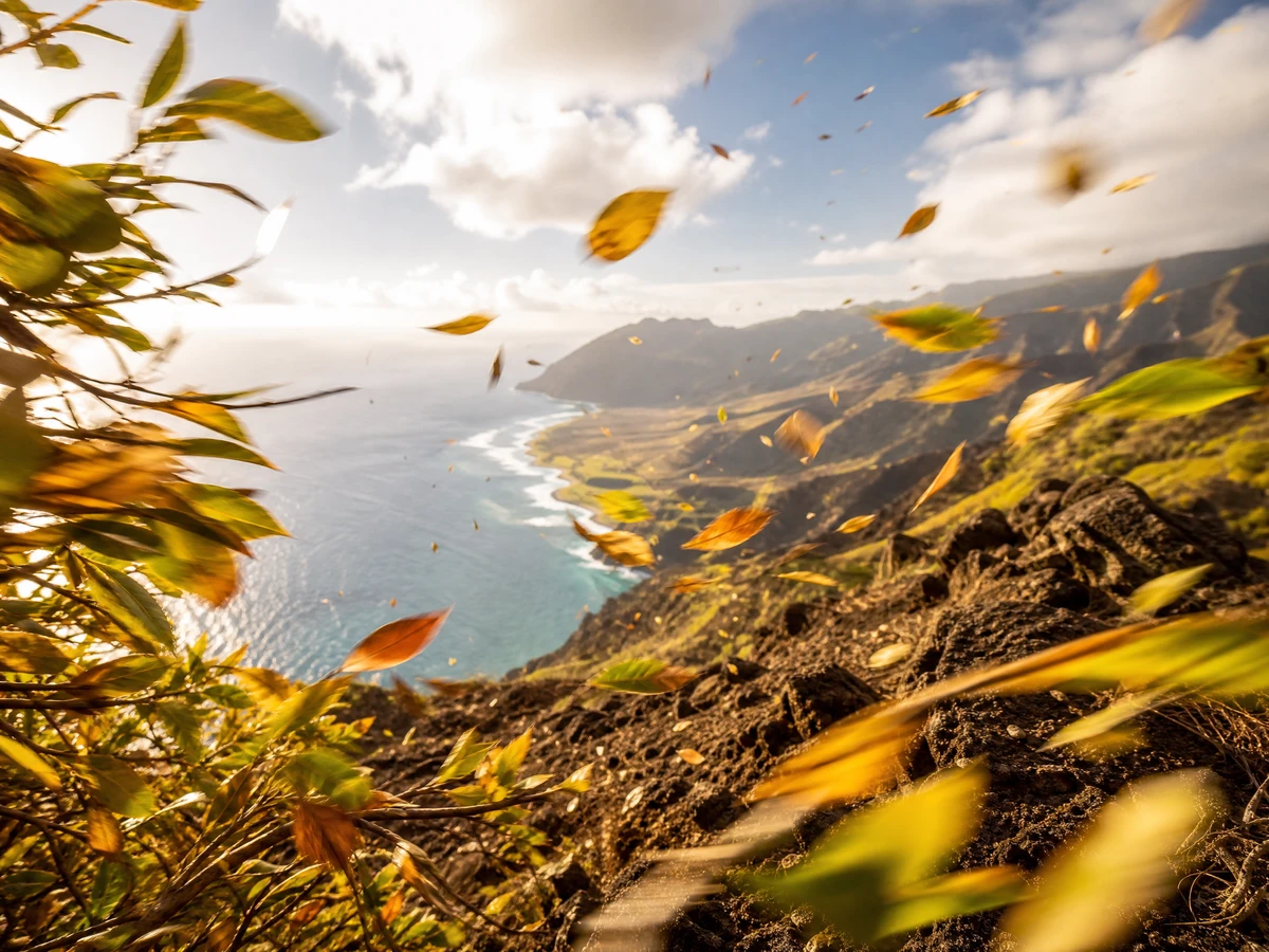Ironwood leaves caught in motion blur, scattering across a sunlit cliffside